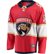 Load image into Gallery viewer, Aaron Ekblad Florida Panthers Player Swingman Jersey