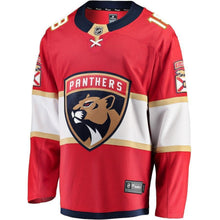 Load image into Gallery viewer, Micheal Haley Florida Panthers Player Swingman Jersey